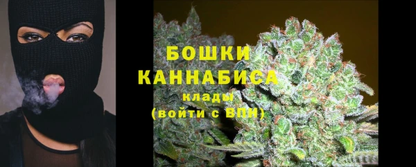 дживик Семилуки