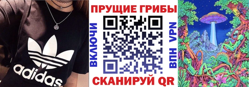 закладка  kraken сайт  Галлюциногенные грибы ЛСД  Пойковский 